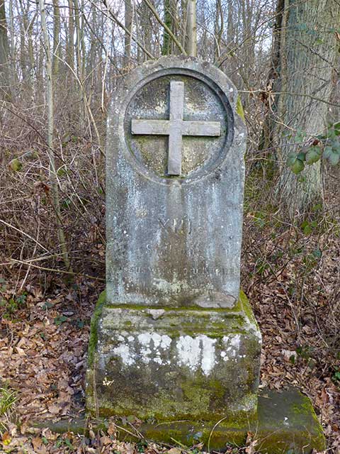 642224247 10161788786517084 3347355929948982918 n