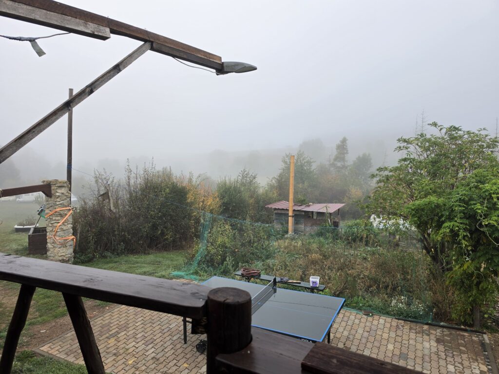 Herbstmorgen im Nebel — Blick von der Terrasse über den Garten