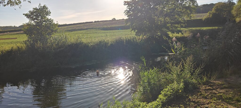 Baden in der Nied an einem Spätsommerabend
