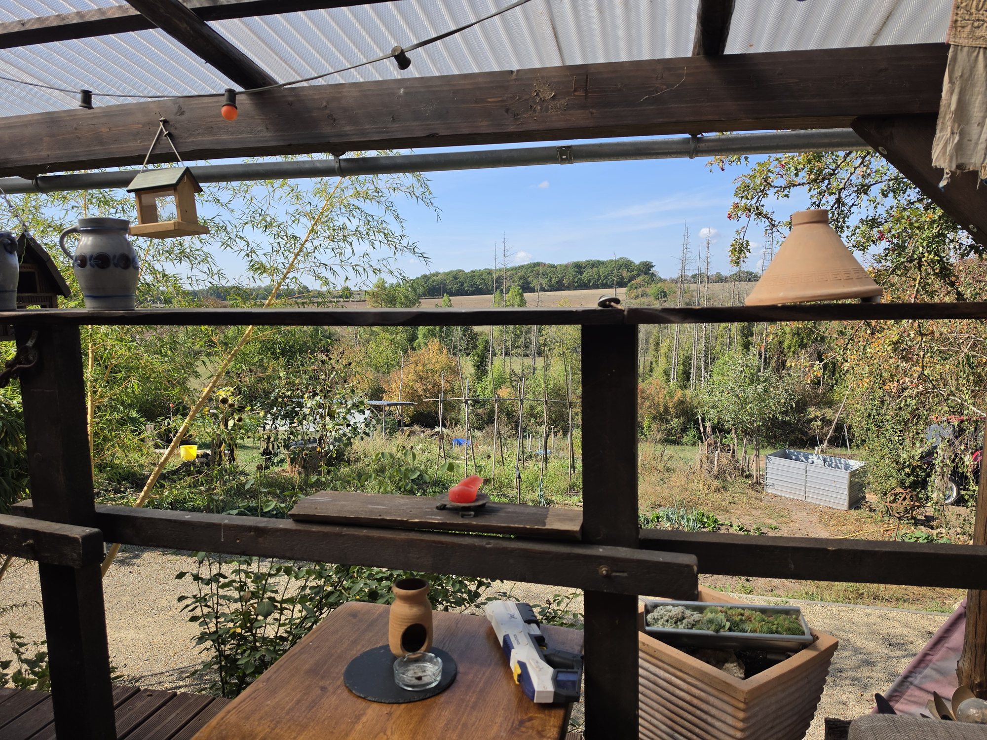 Überdachte Terrasse mit Blick in den Garten