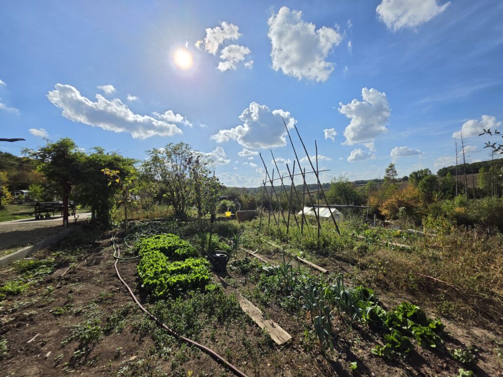 Gemüsegarten mit Bohnenstangen, dahinter das Tal